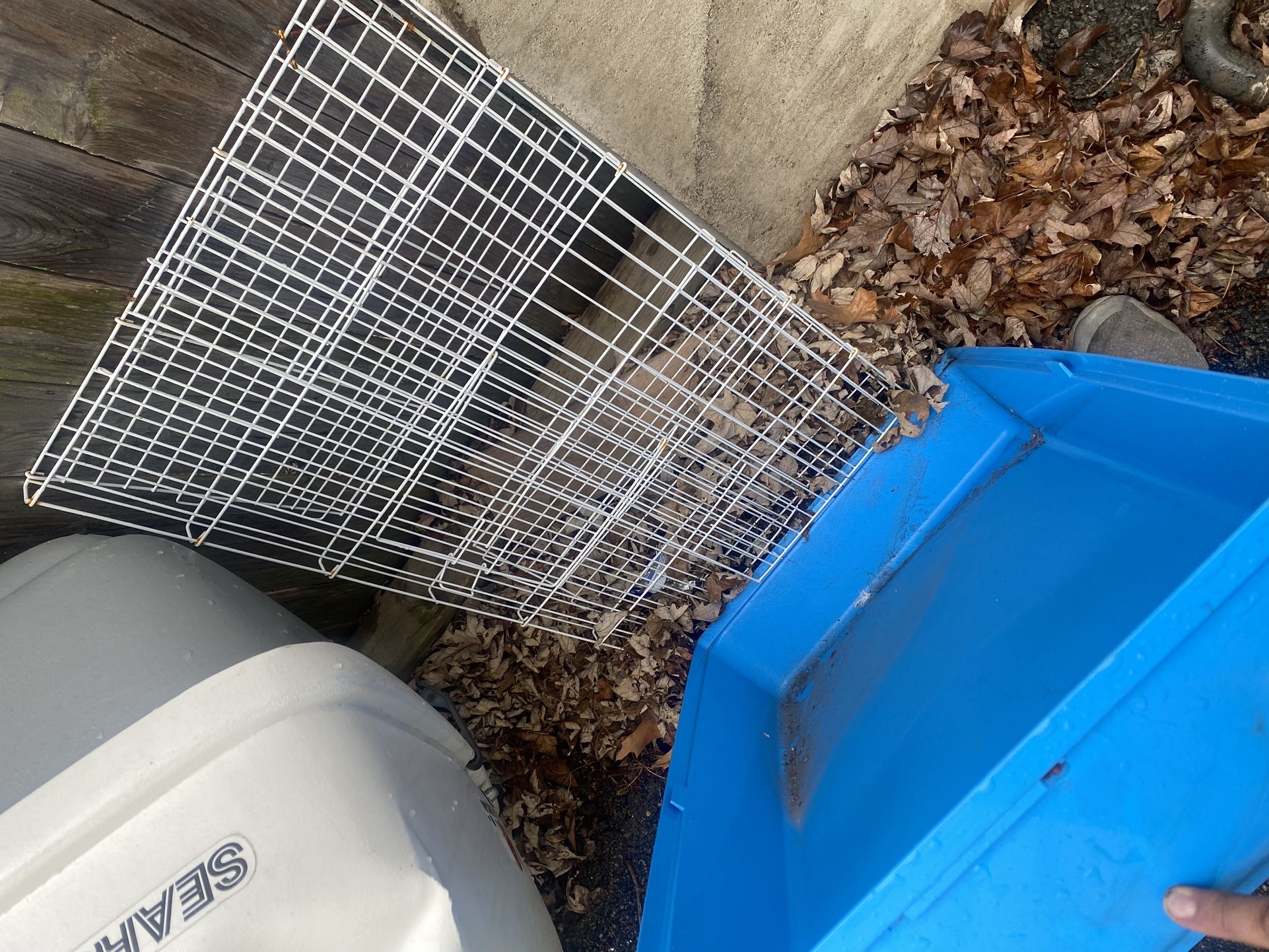 Large Cage Enclosure