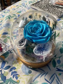 Preserved blue flower in globe vase