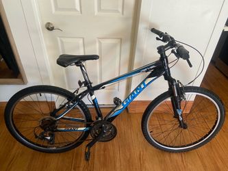Giant  revel bike