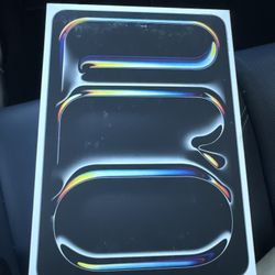 I PAD PRO 11inch M5 WIFI 256 GB