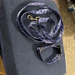 Halloween dog/cat Harness（13in）