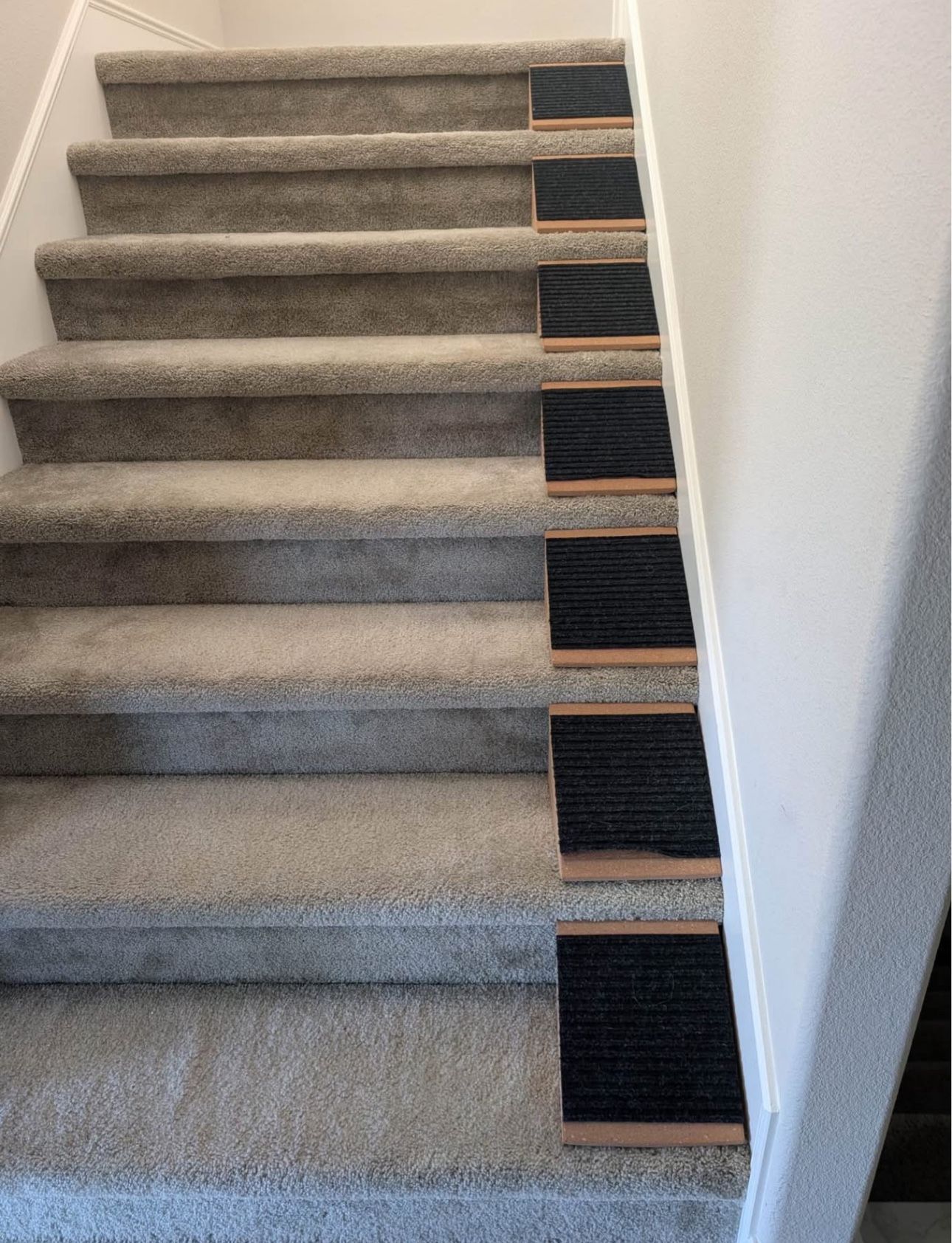 Only Used Once! Dog Insert Steps!