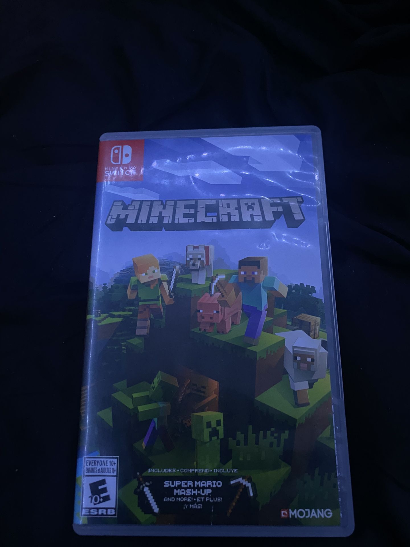 Minecraft: Nintendo Switch Editon