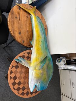 Fiberglass Dorado