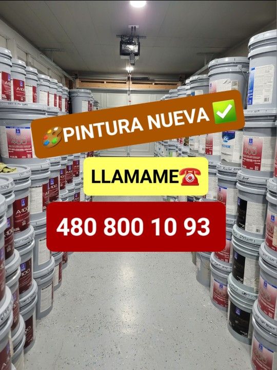Paint