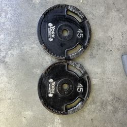 Weight Plates 2 Inch 45’s 