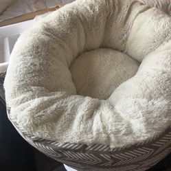 Cat Bed 