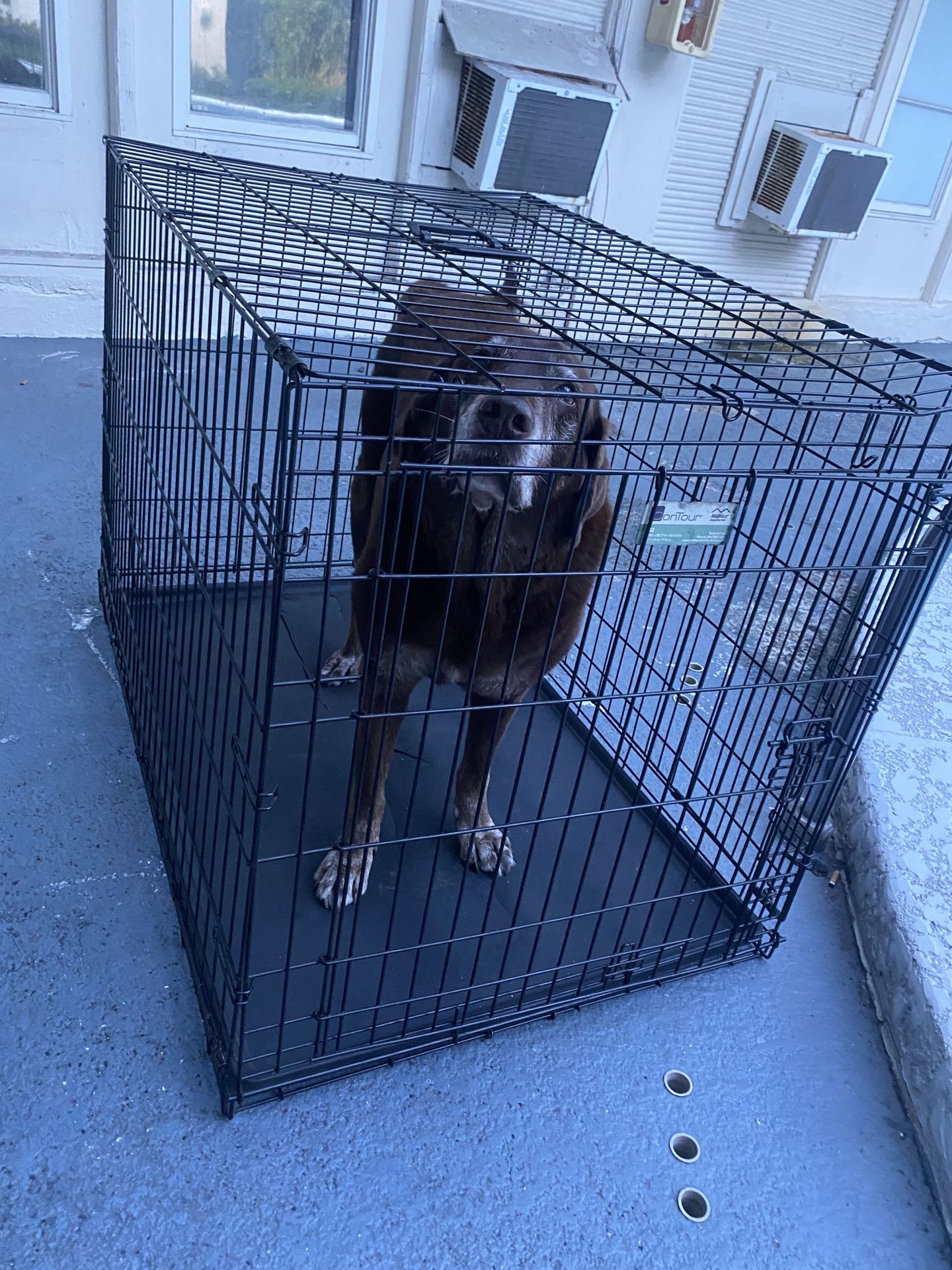 Dog Cage / Kennel