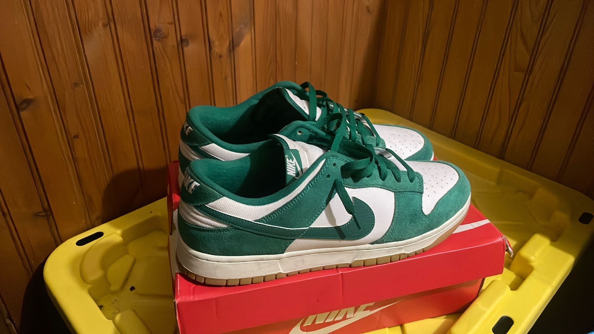 NIKE DUNKS/ Size 15.