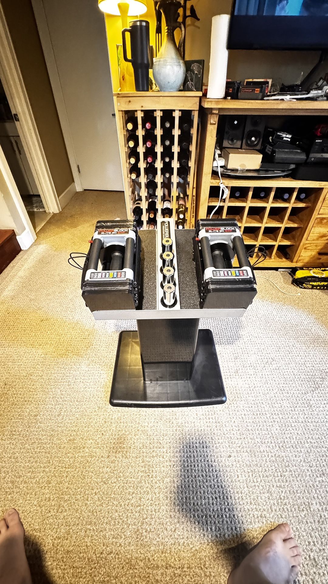 NEW Elite EXP 5-50 Lb & Column Stand