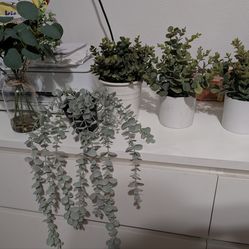 FAUX PLANTS BUNDLE