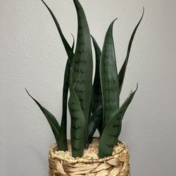 Fake Plant