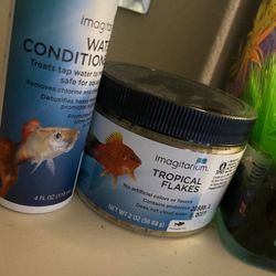 Glass Fish Tank (food For Tropical Fish ) Used Once