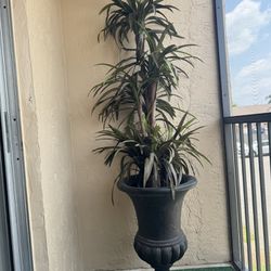 Very Large Fake Plant With Vase