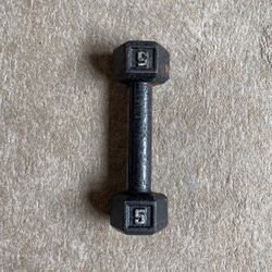 One 5 lbs Hexagon Dumbbell