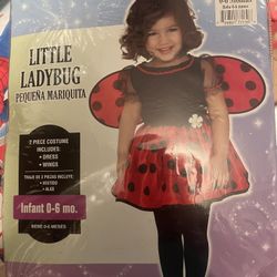 Ladybug Costume