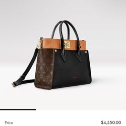 Louis Vuitton purse (authentic)