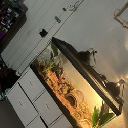 40 gallon reptile tank