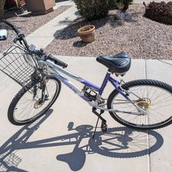 Triax VAX 3000 21speed  Bike For Sale