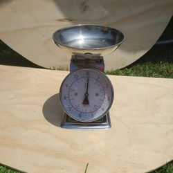 TAYLOR KITCHEN SCALE 
