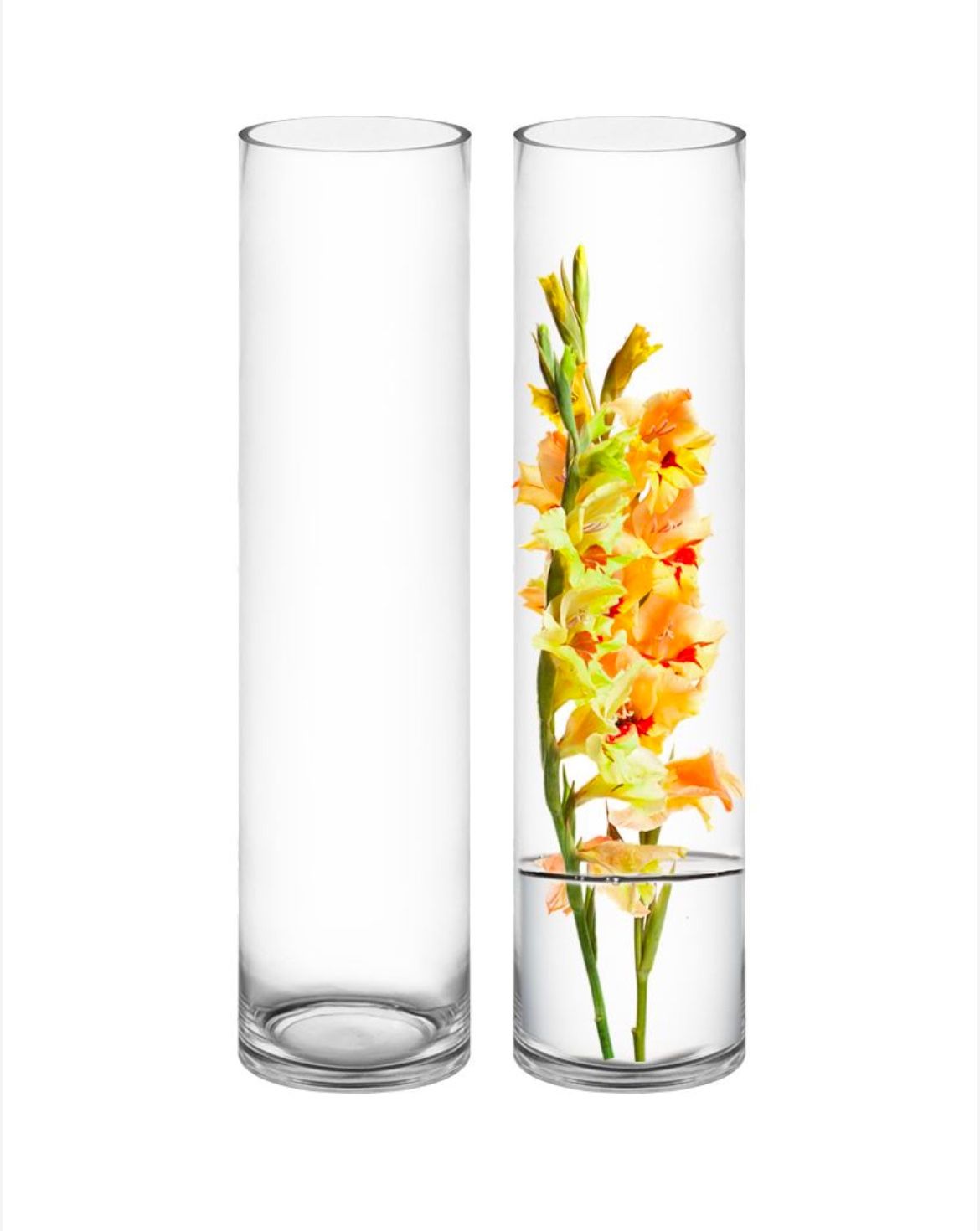 4 - 26” Tall Glass Vases