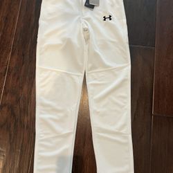 Youth Large baseball Pants - New With Tags!