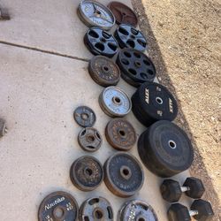 Olympic Weights 