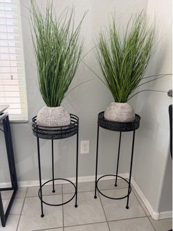 Planters and plants