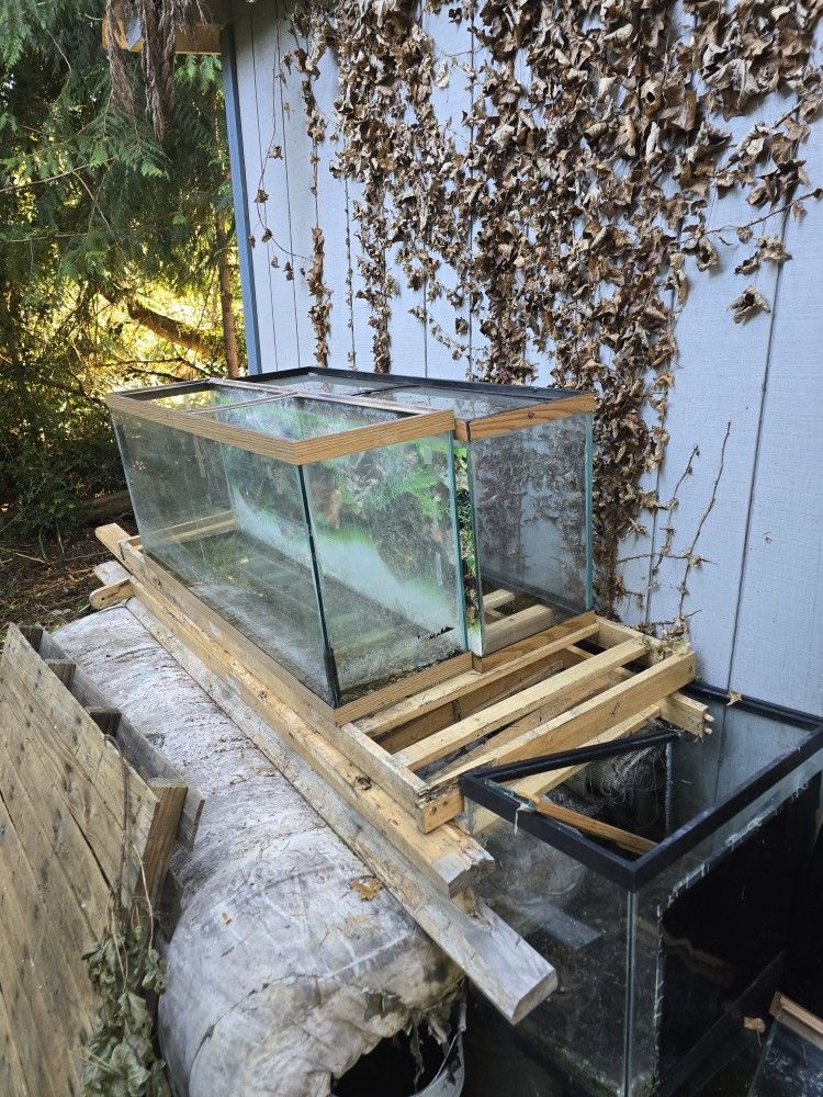 3- 55gallon Tanks And 1- 60 Gallon Tank