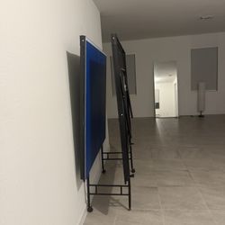 Ping Pong Table 