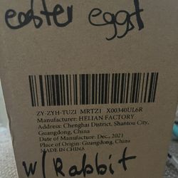 Easter Egg With Rabbit Inside 