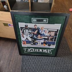 Eagles Football Picture 