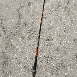 Freshwater Fishing Rod 