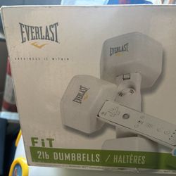 Wii Dumbbells 