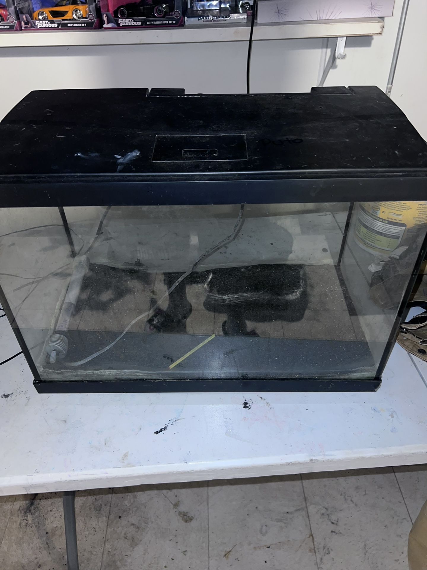 20 Gallon High Fish Tank for Sale in Elgin, IL - OfferUp