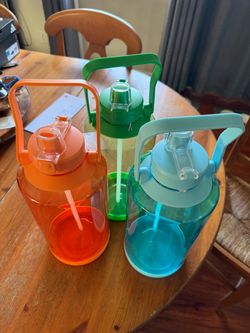 Large Plastic Water Bottles with Straw – Set of 3