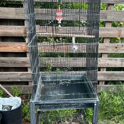 Bird Cage