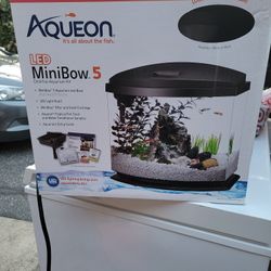 Fishtank