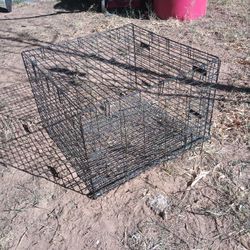 Animal Cage 🐇🐰