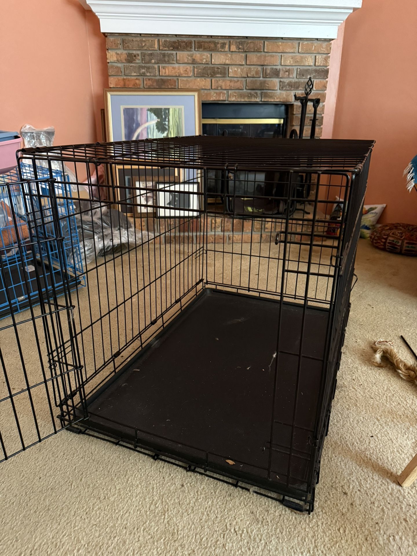 Collapsible 2ft by 3ft Pet Crate