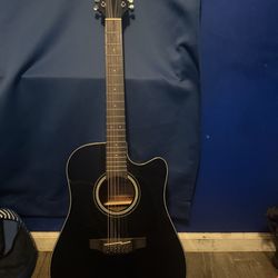 Takamine guitar