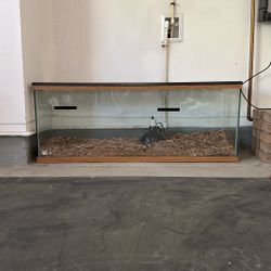 Reptile Tank