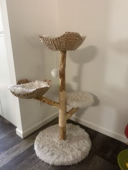 Cat Tree Boho Chic Aesthetic