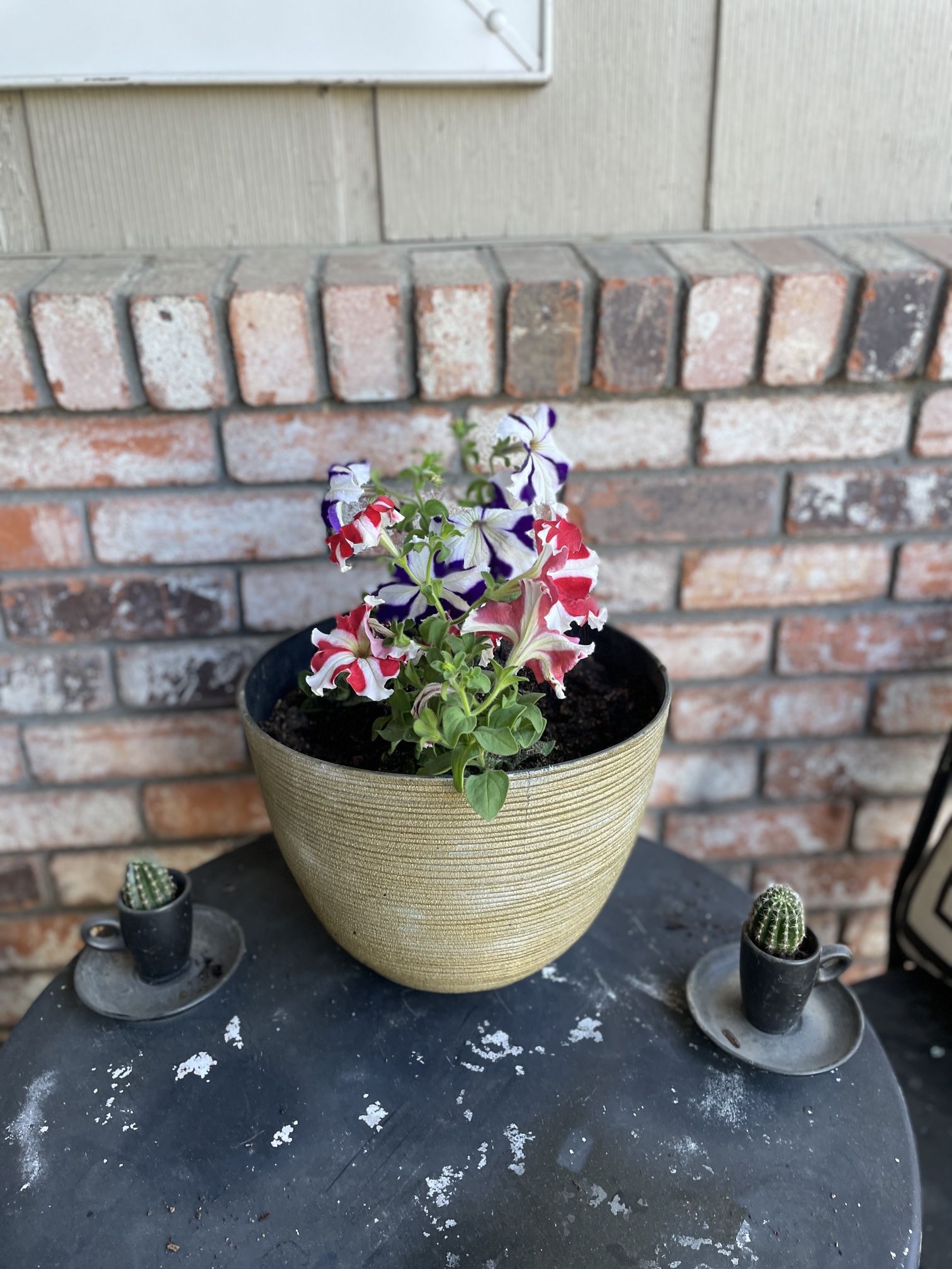 Flowers In Plastic Pot