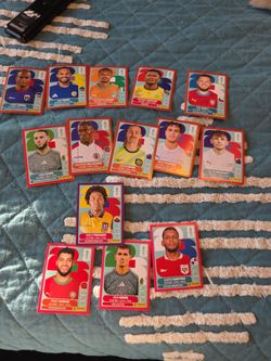 Panini world cup stickers