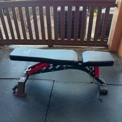 Commercial Incline Bench