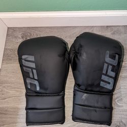 UFC Gloves