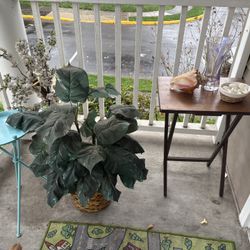 Indoor, Outdoor decor