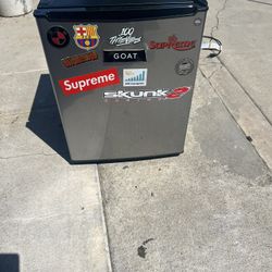 Mini Fridge