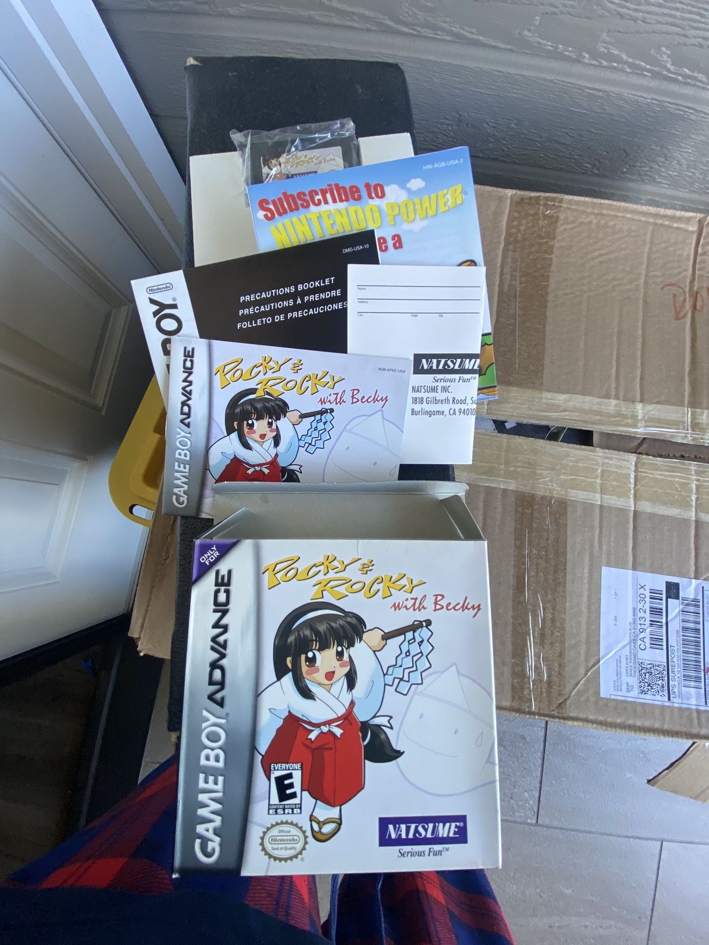 Pocky & Rocky Game Boy Advance Game